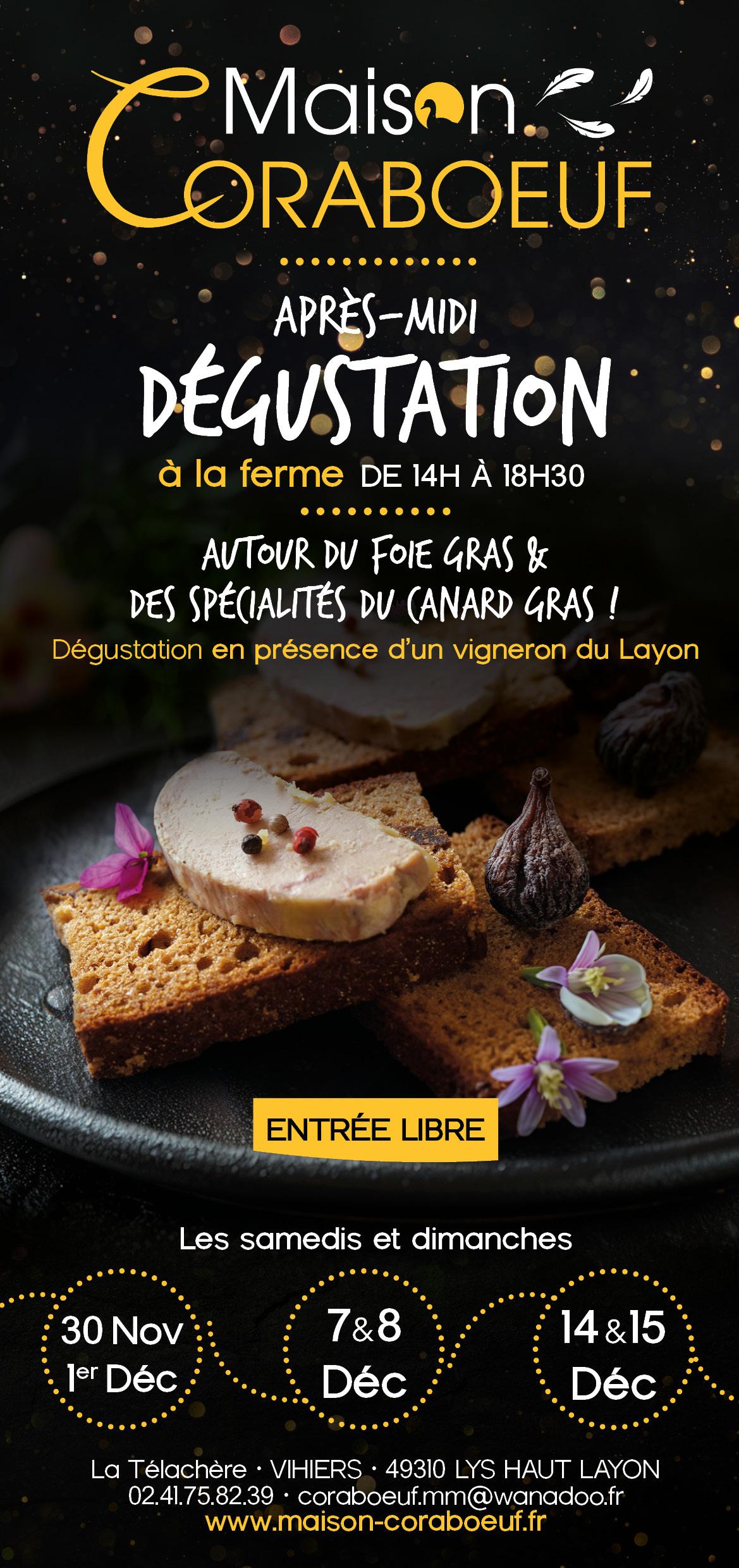 FlyerAnimationsFinAnnee24 Degustations